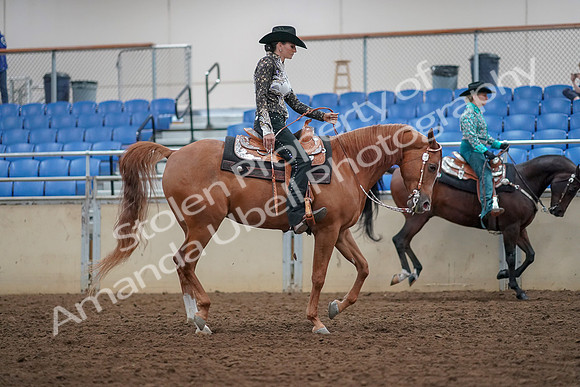 2019 Morgan Horse Show - Aug 30, 2019 - 16966