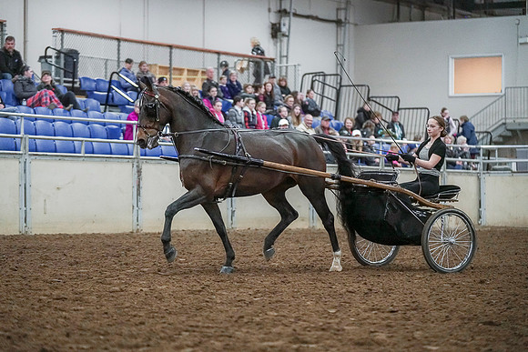 Spring Fling - Saturday - April 20, 2019  -  00227