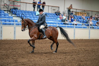 2020 - AB Morgan Horse - Sat, Sept 05 - 06871