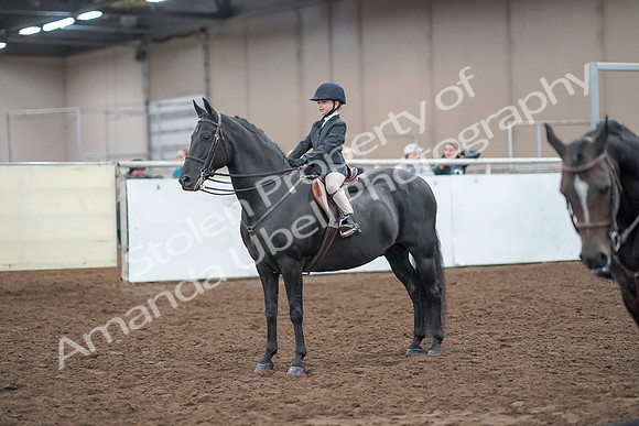 2019 Morgan Horse Show - Aug 31, 2019 - 19725