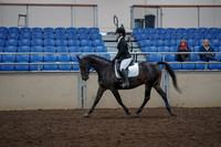2019 Morgan Horse Show - Aug 31, 2019 - 16501