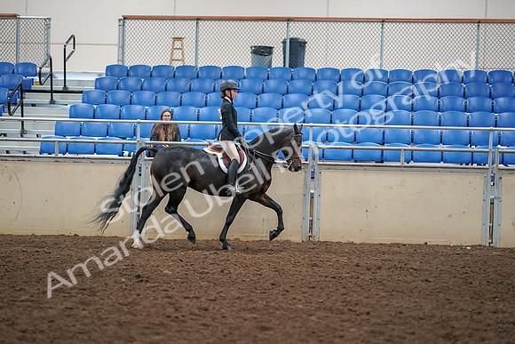 2019 Morgan Horse Show - Aug 30, 2019 - 12452