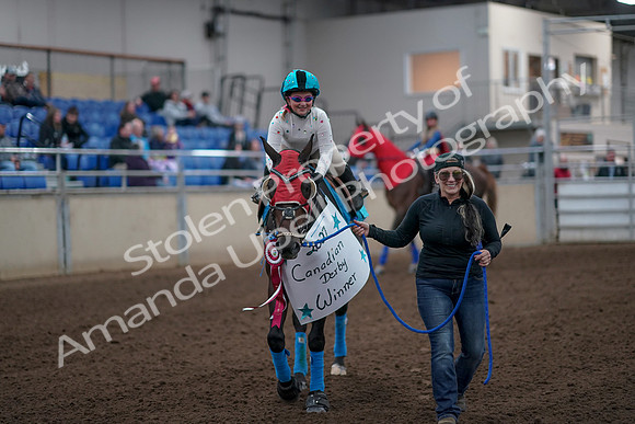 2019 Morgan Horse Show - Aug 31, 2019 - 09974