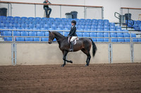 2019 Morgan Horse Show - Sept 01, 2019 - 03652