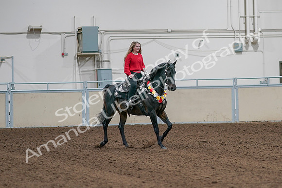 2020 - AB Morgan Horse - Sat, Sept 05 - 10482