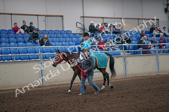 2019 Morgan Horse Show - Aug 31, 2019 - 09940