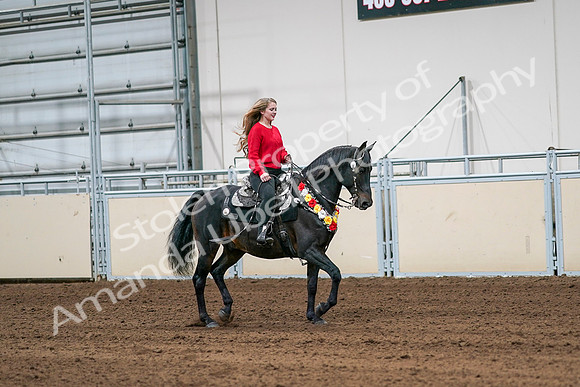 2020 - AB Morgan Horse - Sat, Sept 05 - 10465