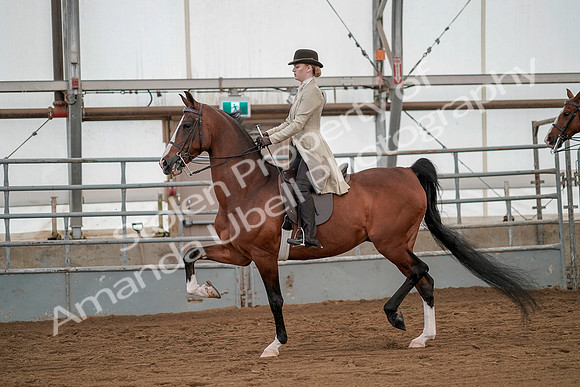 July 20, 2019 - 02146