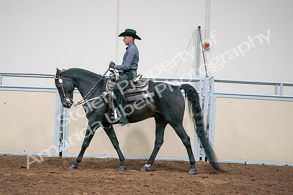 2020 - AB Morgan Horse - Fri, Sept 04 - 08554