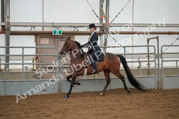 July 20, 2019 - 04270