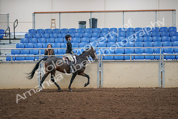 2019 Morgan Horse Show - Aug 30, 2019 - 12431