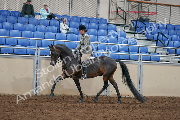 2020 - AB Morgan Horse - Sat, Sept 05 - 14331