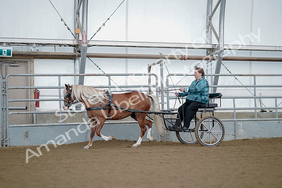 July 21, 2019 - 06669