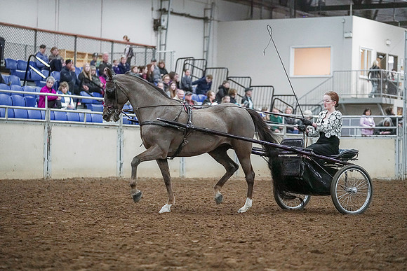 Spring Fling - Saturday - April 20, 2019  -  00236