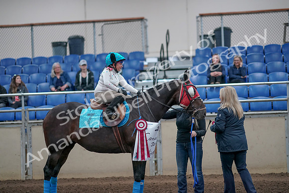 2019 Morgan Horse Show - Aug 31, 2019 - 10196
