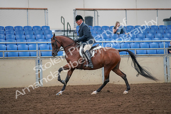 2019 Morgan Horse Show - Aug 30, 2019 - 16362