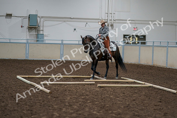 2020 - AB Morgan Horse - Fri, Sept 04 - 00368