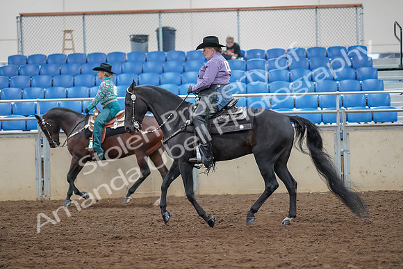 2019 Morgan Horse Show - Aug 30, 2019 - 16896