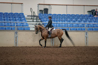 2019 Morgan Horse Show - Aug 31, 2019 - 04835