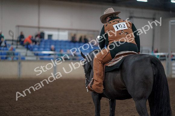 2019 Morgan Horse Show - Aug 31, 2019 - 06243
