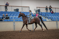 2019 Morgan Horse Show - Aug 31, 2019 - 07655