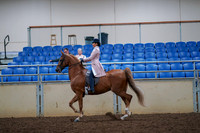 2019 Morgan Horse Show - Aug 30, 2019 - 21395