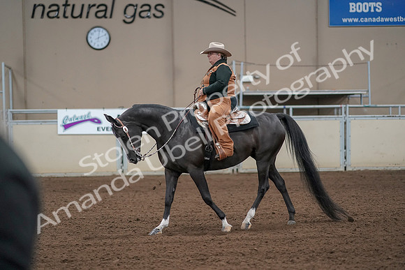 2019 Morgan Horse Show - Aug 31, 2019 - 06237