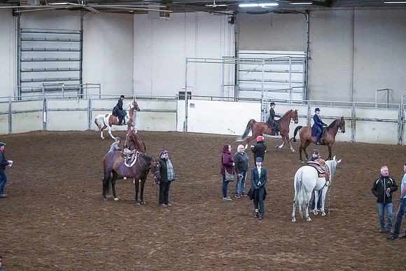 Spring Fling - Saturday - April 20, 2019  -  00347
