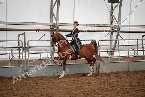 July 19, 2019 - 10326