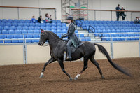 2020 - AB Morgan Horse - Fri, Sept 04 - 05331