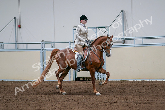 2020 - AB Morgan Horse - Fri, Sept 04 - 01706