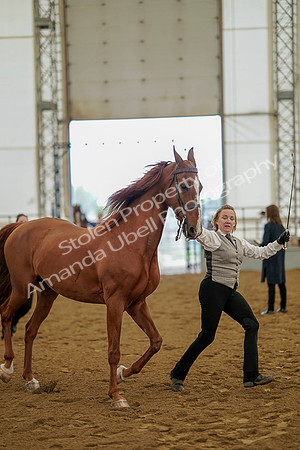 July 19, 2019 - 1105