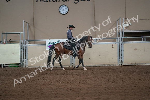 2019 Morgan Horse Show - Aug 31, 2019 - 06183