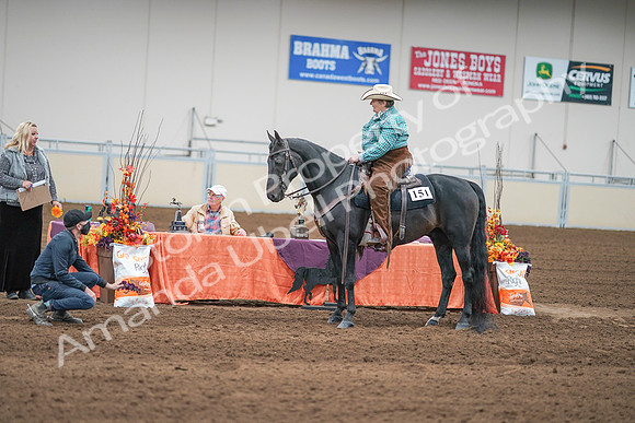 2020 - AB Morgan Horse - Sun, Sept 06 - 01663