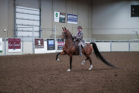 Spring Fling - Saturday - April 20, 2019  -  00594