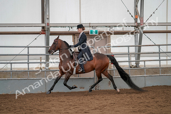 July 20, 2019 - 04379