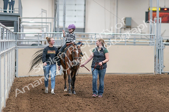 2020 - AB Morgan Horse - Sat, Sept 05 - 10068