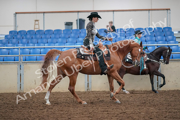 2019 Morgan Horse Show - Aug 30, 2019 - 16981