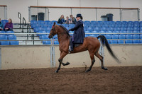 2019 Morgan Horse Show - Aug 30, 2019 - 28363