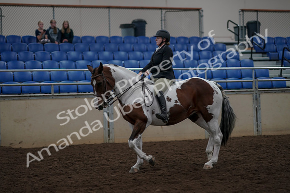 2019 Morgan Horse Show - Aug 30, 2019 - 31127