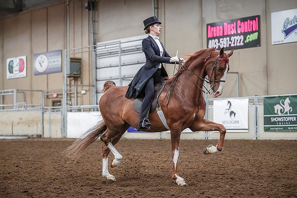 Spring Fling - Saturday - April 20, 2019  -  04167