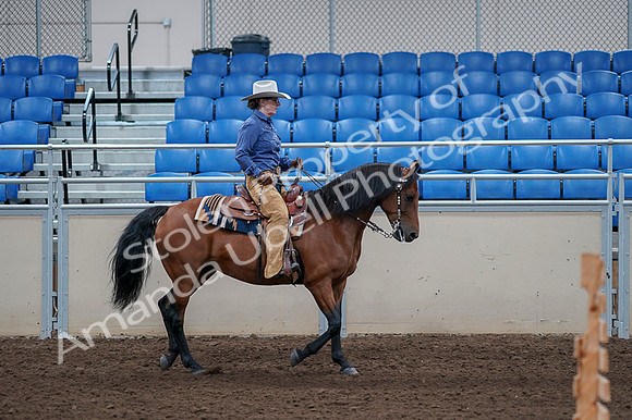 2020 - AB Morgan Horse - Fri, Sept 04 - 00205
