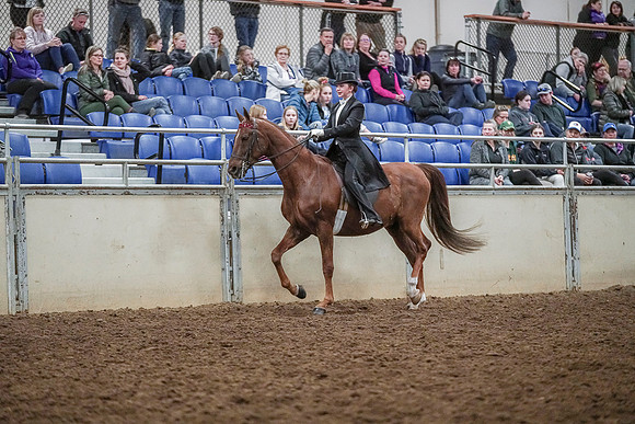 Spring Fling - Saturday - April 20, 2019  -  04312