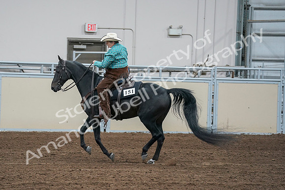 2020 - AB Morgan Horse - Fri, Sept 04 - 00501