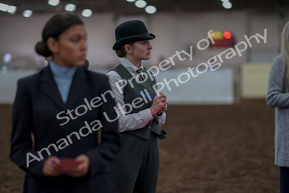 2019 Morgan Horse Show - Aug 31, 2019 - 03967