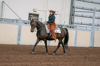 2020 - AB Morgan Horse - Sun, Sept 06 - 01545