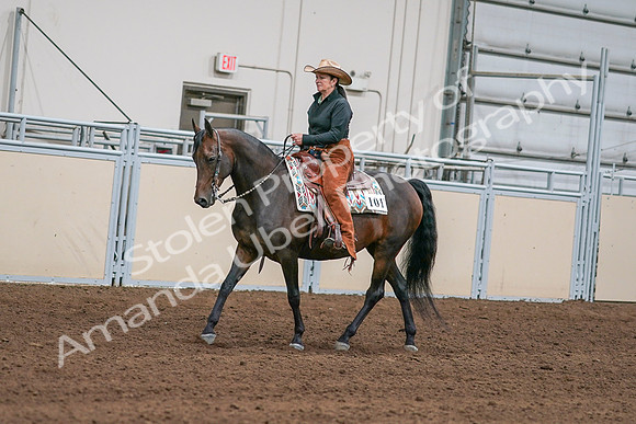 2020 - AB Morgan Horse - Sun, Sept 06 - 01545