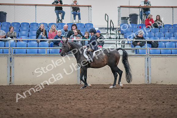 2019 Morgan Horse Show - Aug 31, 2019 - 19516
