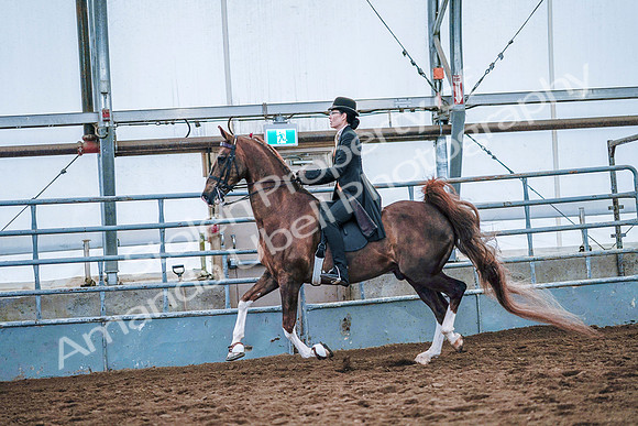 July 20, 2019 - 23936