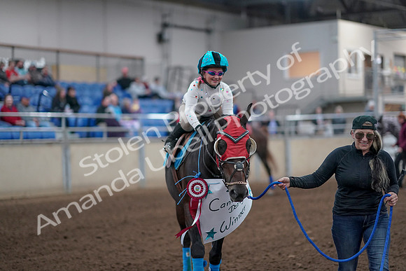2019 Morgan Horse Show - Aug 31, 2019 - 09979